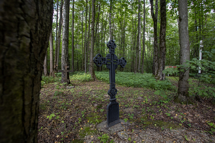Фоторепортаж из Тесницого леса: как выглядит расстрельный полигон под Тулой