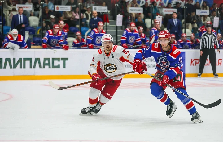 Тульский АКМ не смог забить ни одной шайбы в ворота «Горняка-УГМК» и проиграл матч