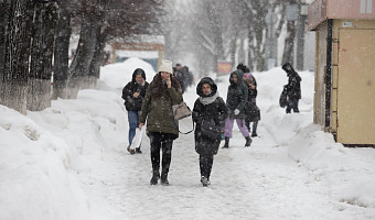 Синоптик Ильин: В январе в Тульской области выпало 214% нормы снежных осадков