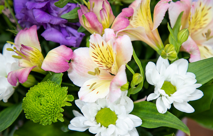 Полиция предупреждает туляков о мошеннической схеме с доставкой цветов