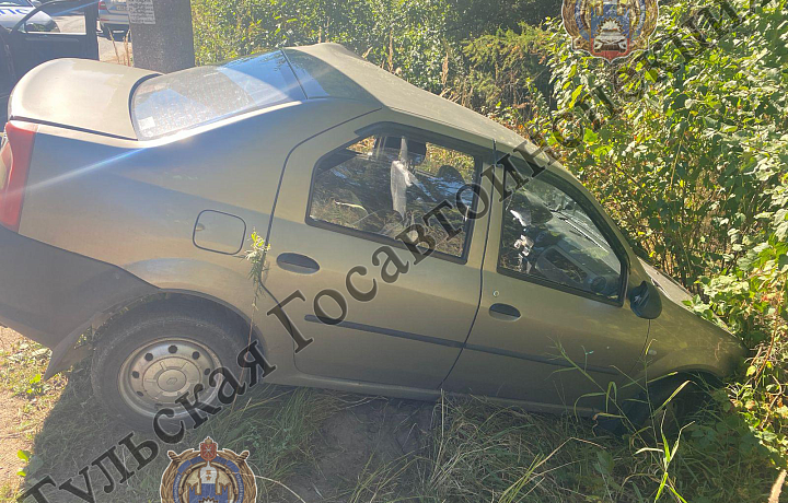 Автоледи на Renault Logan врезалась в опору ЛЭП в Заокском районе