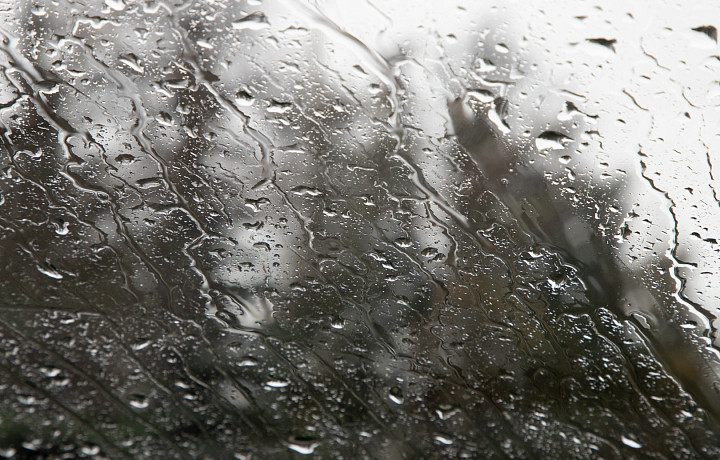 До +10 градусов и ливни ожидаются в Тульской области в первый день мая