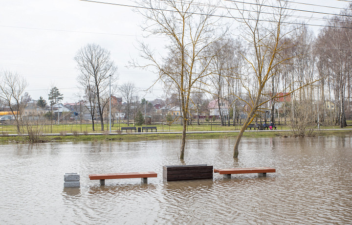 Пик паводка ожидается в Туле в последней декаде марта