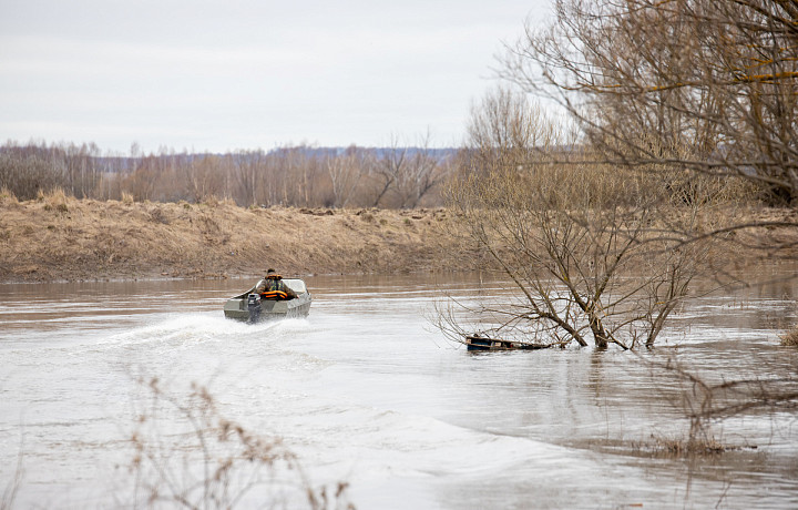 На экомониторинг тульских рек потратят более миллиона рублей