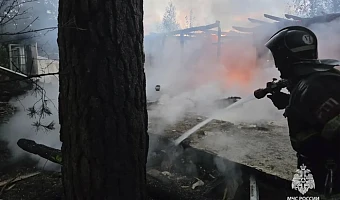 Тульские огнеборцы спасли на пожарах 32 человека за неделю