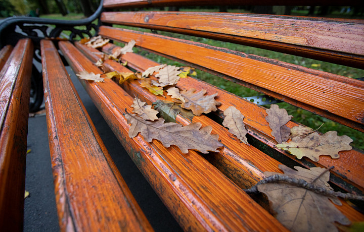 В Тульской области потеплеет до +9 градусов в пятницу, 24 октября