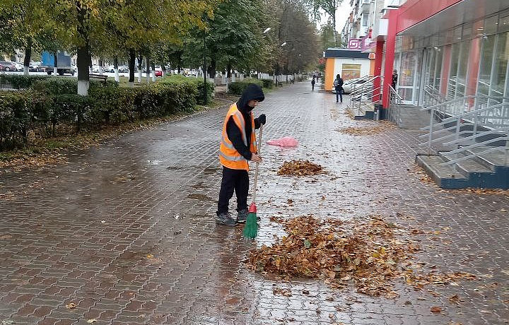 В Туле 10 октября пройдет уборка городских улиц и сбор листвы
