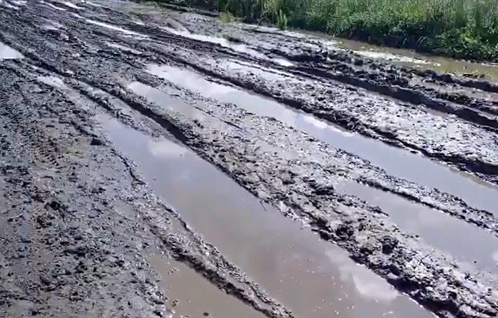 «УАЗик мы растрепали за три-четыре года»: под Ефремовом две соседние деревни отрезаны друг от друга из-за ужасной дороги, альтернативный путь – более 30 километров