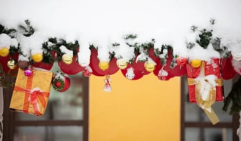 Спросили у Ozon и WB, что покупают туляки на маркетплейсах: по количеству в топе «женские штучки», по росту продаж – шины, самый дорогой товар – машина за 2 млн