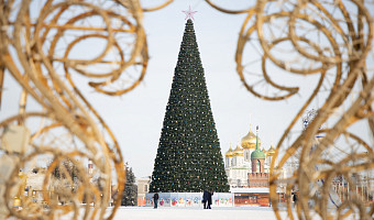 Установка главной новогодней елки Тулы обойдется в 1,7 миллион рублей