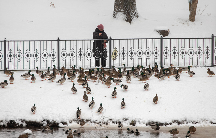 Роспотребнадзор дал рекомендации тулякам по восстановлению режима после праздников