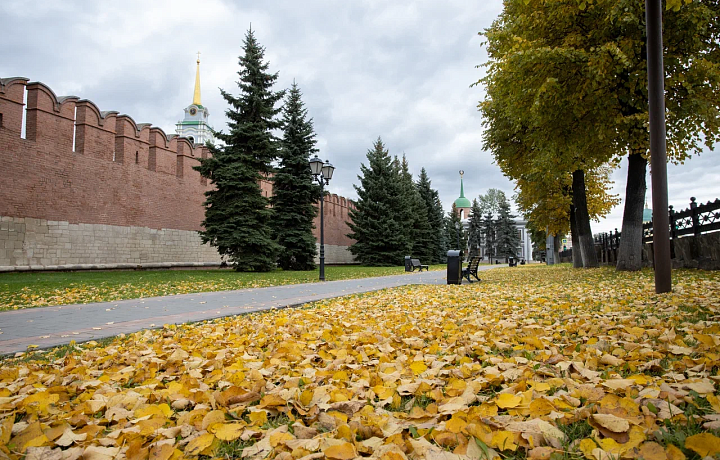 МЧС объявило 4 октября метеопредупреждение из-за усиления ветра в Тульской области