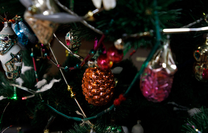 В Туле лишь 25% жителей признались, что обожают Новый год