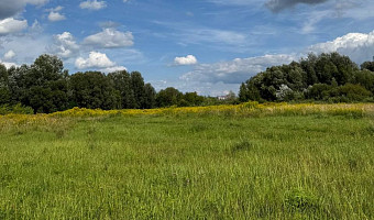 Стало известно, кто займется застройкой поля на берегу Упы напротив ТЦ «Макси» в Туле