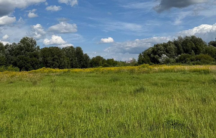 Стало известно, кто займется застройкой поля на берегу Упы напротив ТЦ «Макси» в Туле