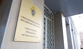 Жительница Тулы зарезала пристававшего к ней гостя и получила срок в колонии