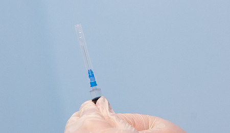 Роспотребнадзор: у летучих мышей в Бразилии выявили новый коронавирус