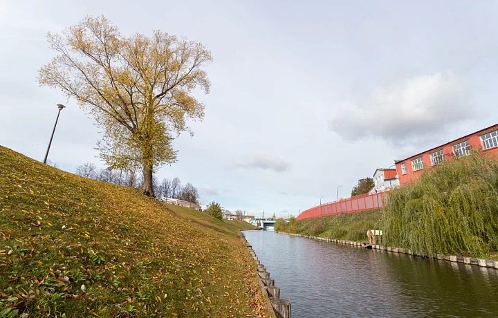 В Тульской области подвели итоги первой недели месячника чистоты