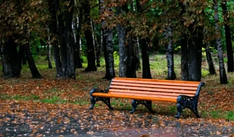 В ночь на 26 октября в Туле похолодает до +5 градусов, днем потеплеет до +10