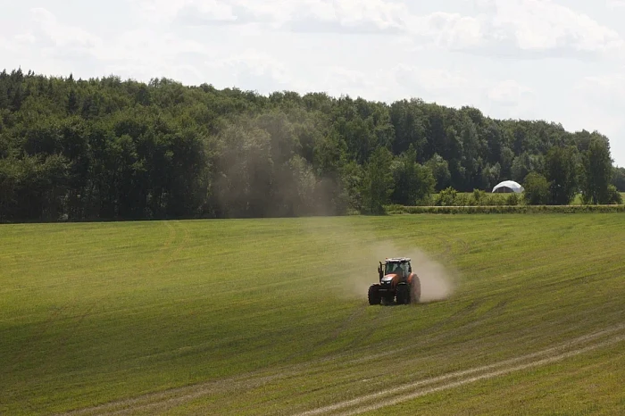 Аргентинцы, сладости и многокилометровая выставка: как проходит «День поля» в Тульской области