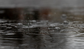 В Туле и области пройдет дождь в среду, 12 ноября