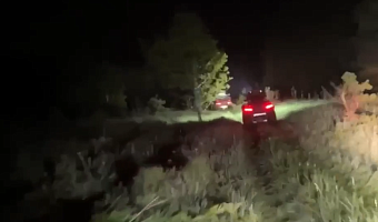 В СК опубликовали видео с места поиска трехлетней Вероники Воробьевой