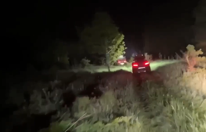 В СК опубликовали видео с места поиска трехлетней Вероники Воробьевой