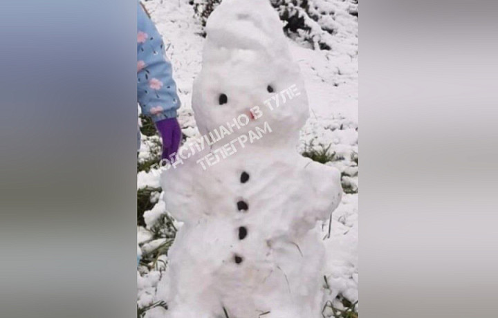 В Тульской области слепили первого снеговика в октябре