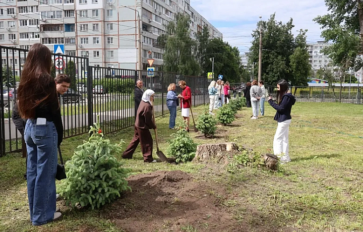 В Тульском областном медицинском колледже появилась аллея выпускников