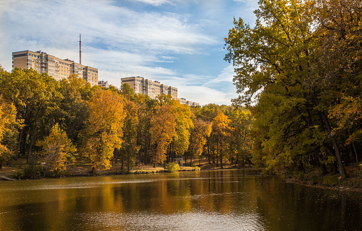Мимолетная золотая осень: синоптик предупредил о похолодании в ближайшую неделю в Туле