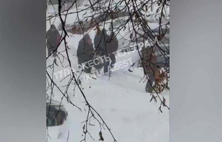 ДТП, застрявшие скорые, занесенные тротуары: как Тула переживает мощнейший снегопад - видео