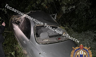 Иномарка вылетела в кювет и врезалась в дерево на трассе в Заокском районе