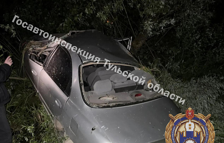 Иномарка вылетела в кювет и врезалась в дерево на трассе в Заокском районе