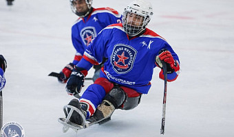 Тульские хоккеисты «АКМ-следж» обыграли московский «Феникс» со счетом 9:2