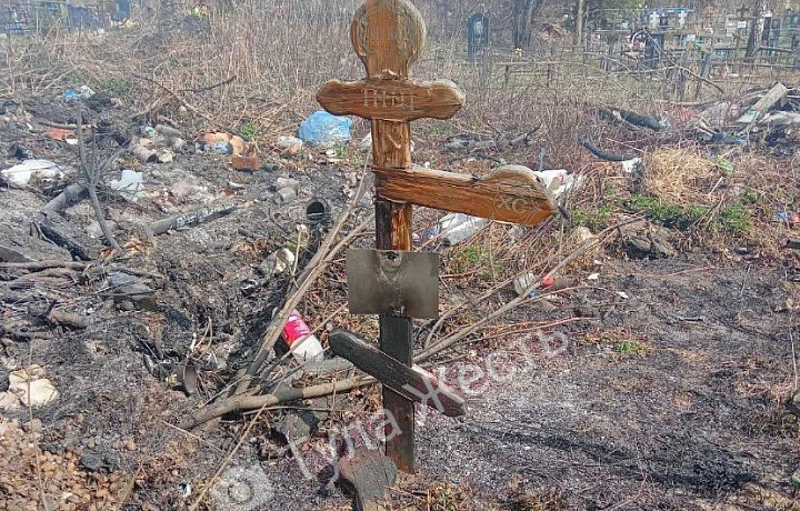 Пожар произошел на кладбище в Щекинском районе Тульской области