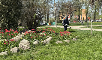 В тульских парках продолжаются антиклещевые обработки