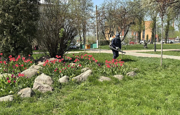 В тульских парках продолжаются антиклещевые обработки