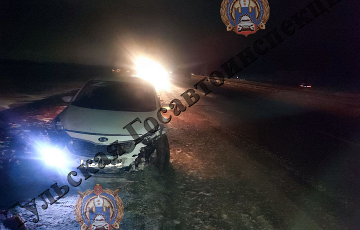 Водитель Kia влетел в отбойник в Воловском районе