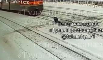 В Плавске на видео попал момент с поездом, насмерть сбившим упавшую на рельсы женщину