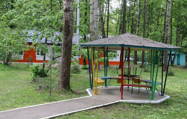 В Туле завершают подготовку загородных детских лагерей к открытию сезона