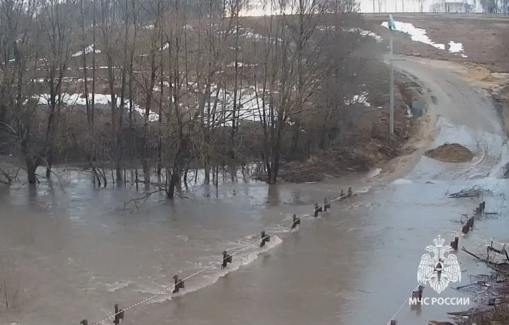 В Тульской области из-за подъема уровня воды в реках закрыто движение на 20 мостах