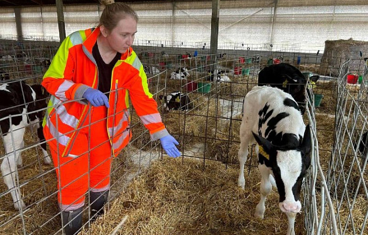 Зоотехник-селекционер из Тульской области победил во Всероссийском конкурсе