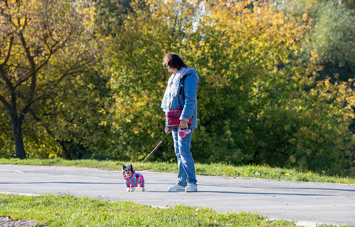 Роспотребнадзор рассказал тулякам, как организовать распорядок дня осенью