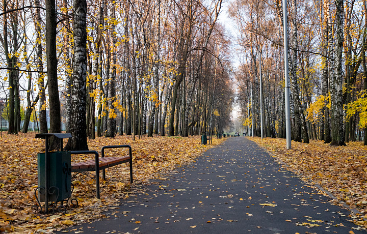 10 ноября: какой сегодня праздник, этот день в истории России и Тулы