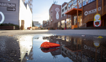 К концу недели в Центральной России установится сентябрьская погода