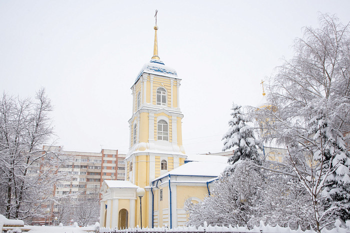 Тулу засыпало снегом: как в городе борются с последствиями стихии