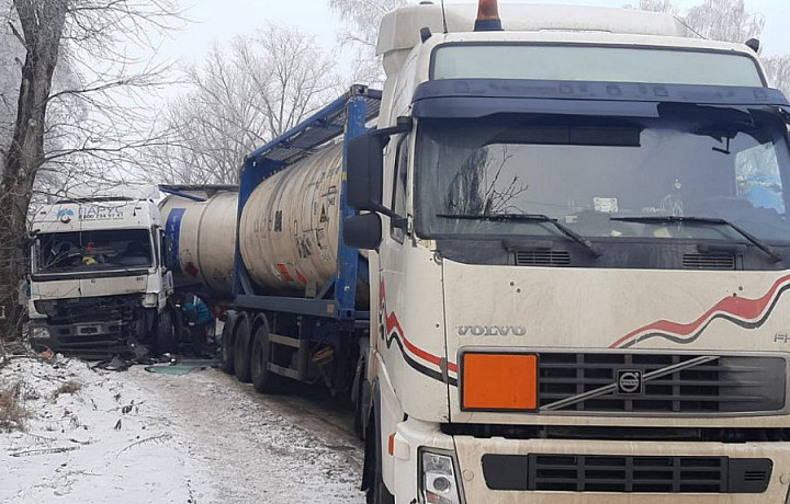 Семь человек пострадали в ДТП с автобусом и двумя грузовиками в Узловой