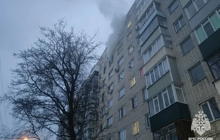 В Тульской области 14 февраля потушили пять пожаров