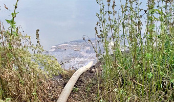 В Узловском районе местные жители пожаловались экологам на неприятный тошнотворный запах