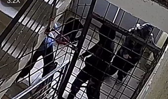 В Туле трое подростков сломали замки чердачного помещения, чтобы попасть на крышу